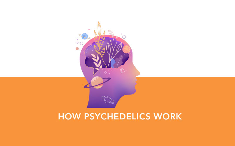 How Psychedelics Work