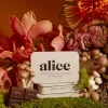 Alice Mushroom Chocolate