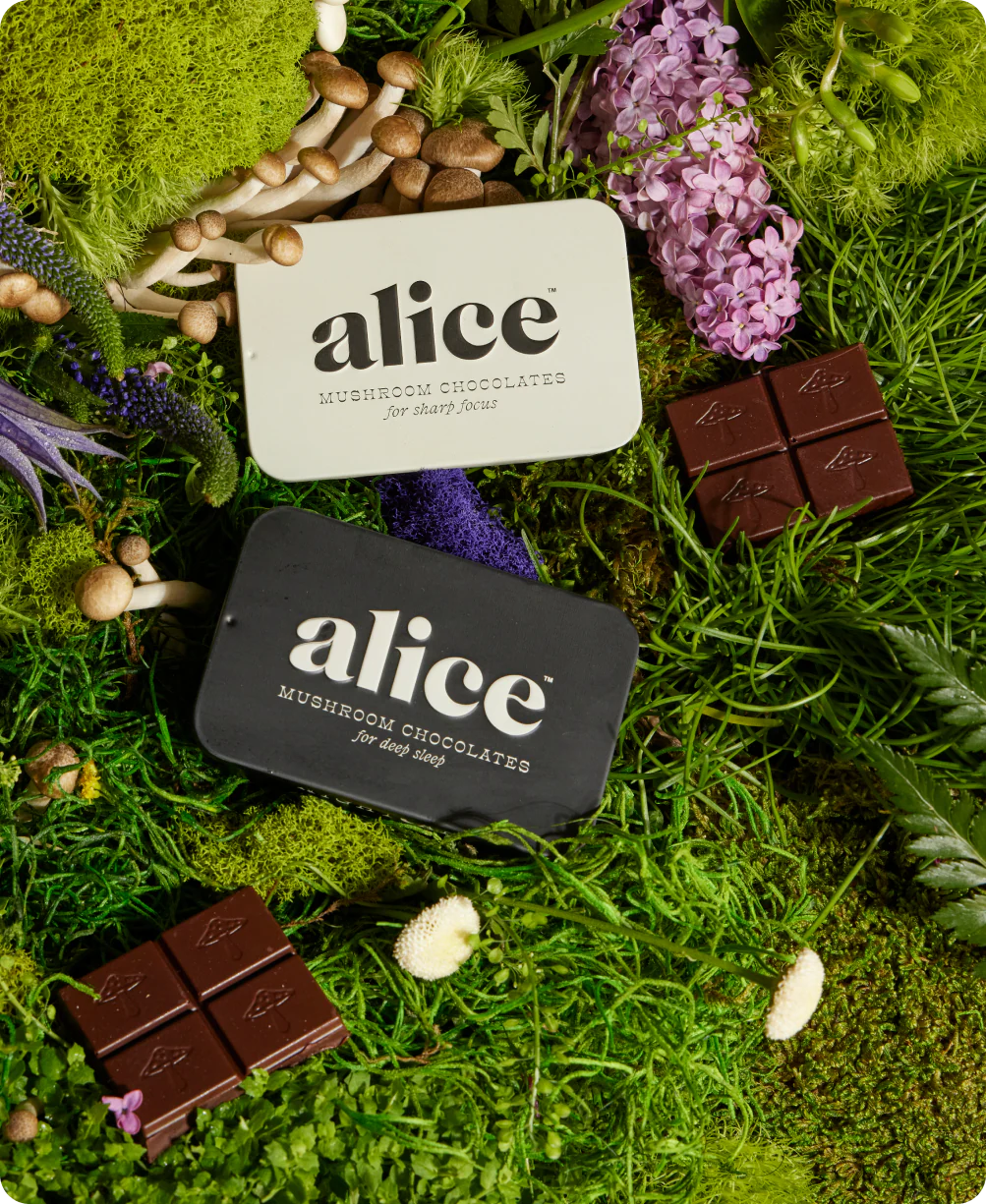 Duo Chocolate Mushroom Bar Duo Chocolate Mushroom Bar